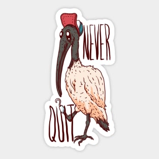 Never Quit - Bin Chicken Pirate Sticker